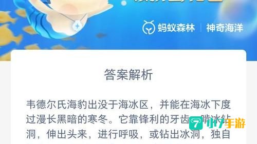 被称为打孔巨匠