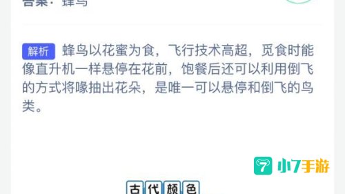 哪种鸟能倒着飞蚂蚁庄园