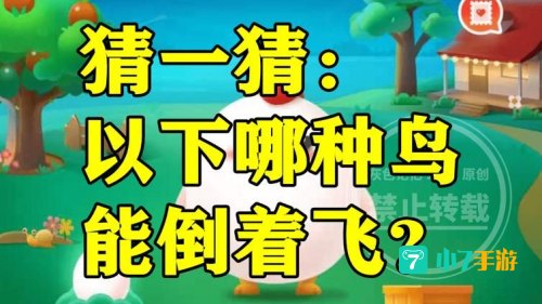 哪种鸟能倒着飞蚂蚁庄园