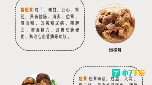姬松茸原产于中国