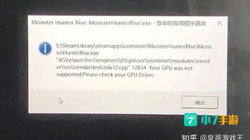 致命的应用程序退出