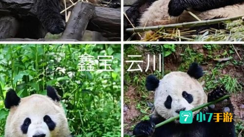 被称为耕地中的大熊猫的是
