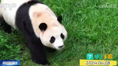 被称为耕地中的大熊猫的是
