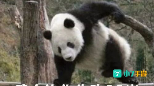 被称为耕地中的大熊猫的是