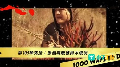 1000种死法